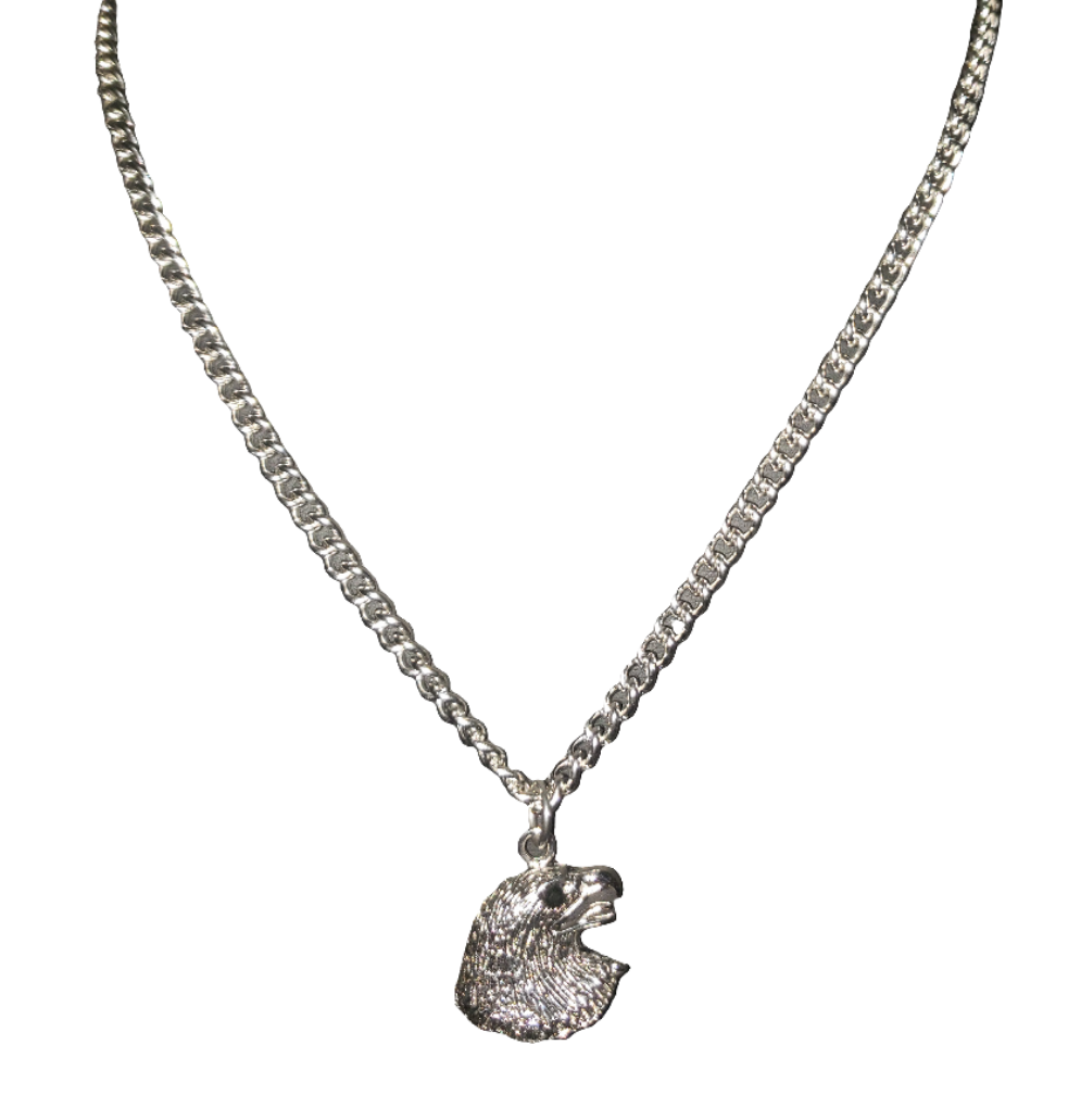 Stainless Steel Chain with Eagle Pendant