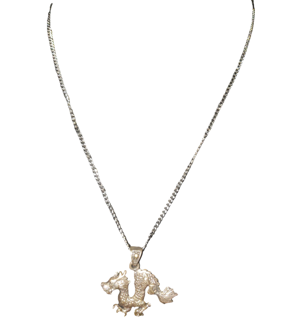 Stainless Steel Chain with Dragon Pendant
