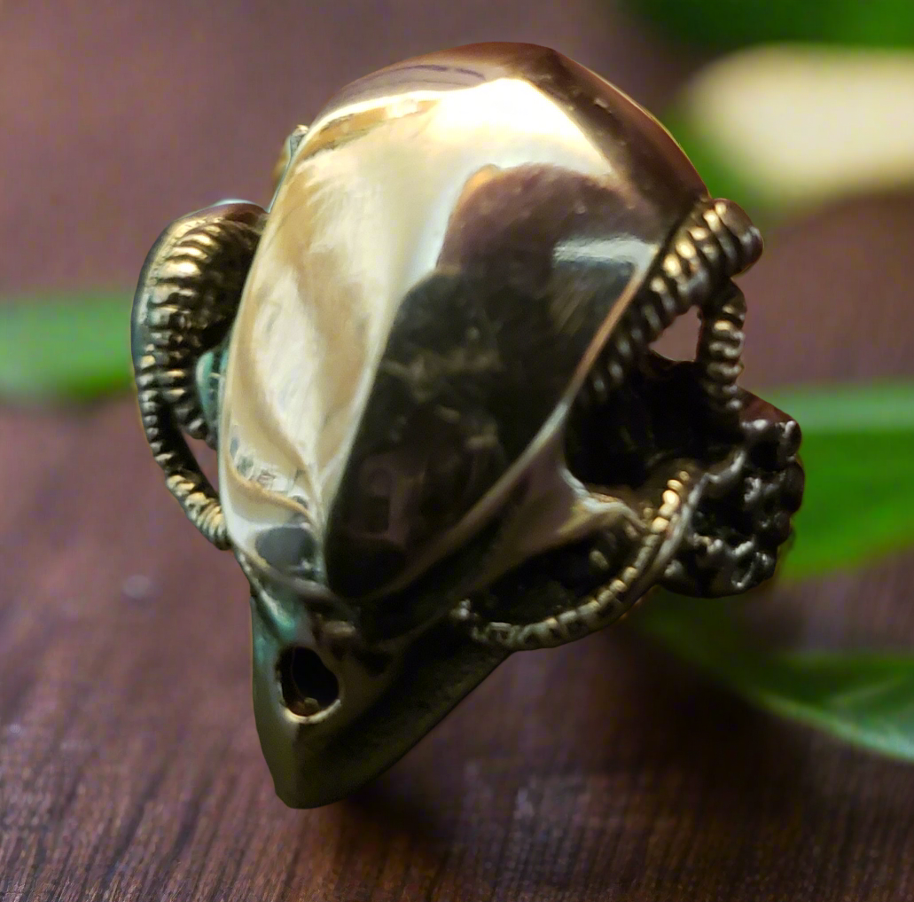 Steel Alien Ring