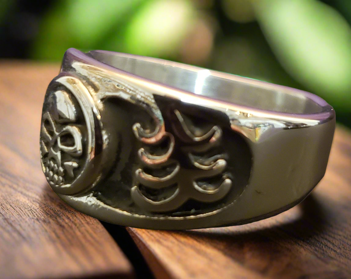 Men's Steel Punisher Skull Ring
