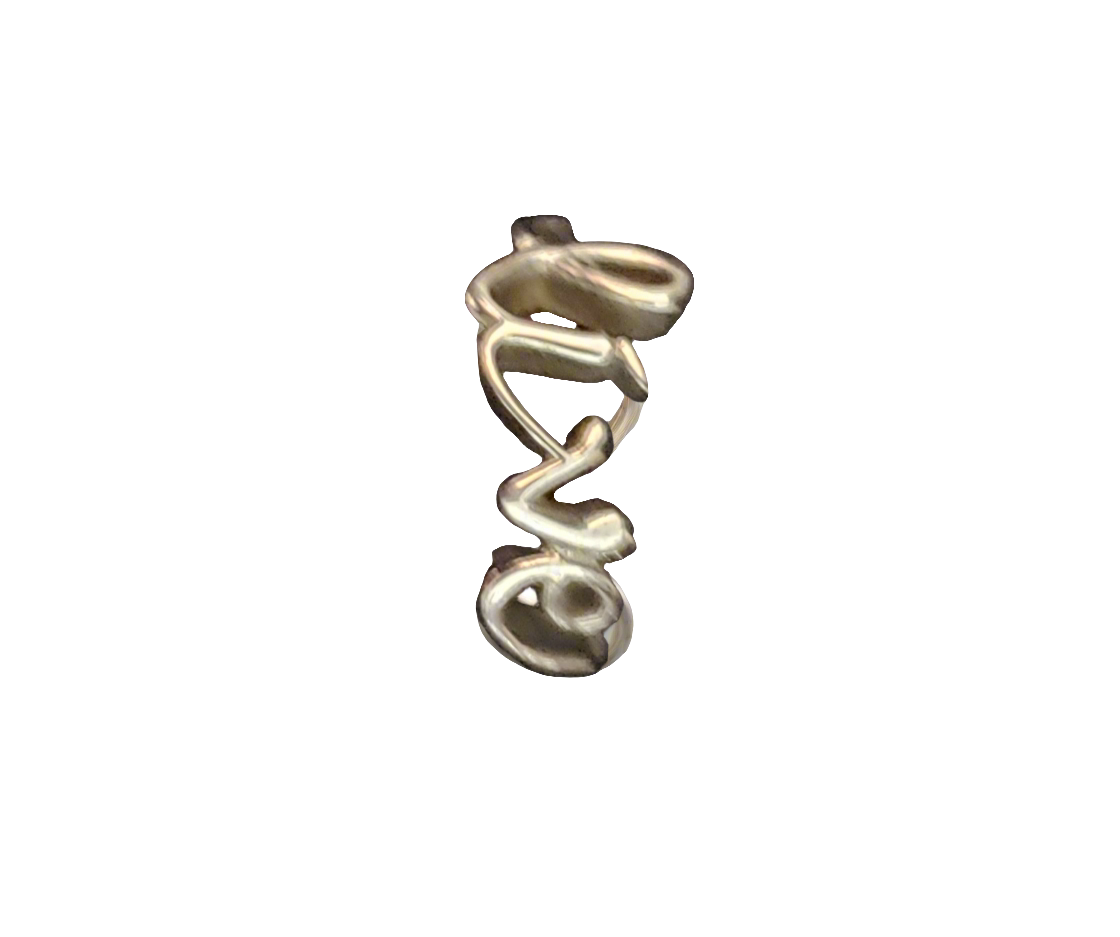 Stainless Steel "Live" Ring