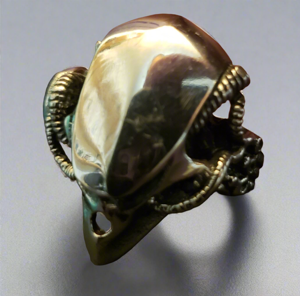 Steel Alien Ring