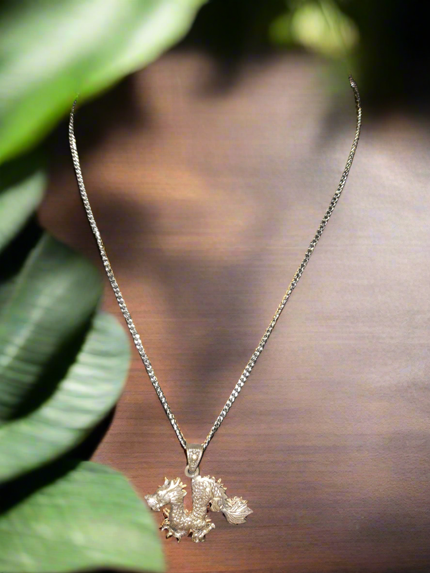 Stainless Steel Chain with Dragon Pendant