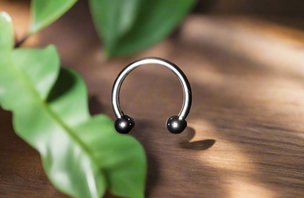 Stainless Steel 16 gauge, 10mm Horseshoe Ring with 3mm Ball Ends