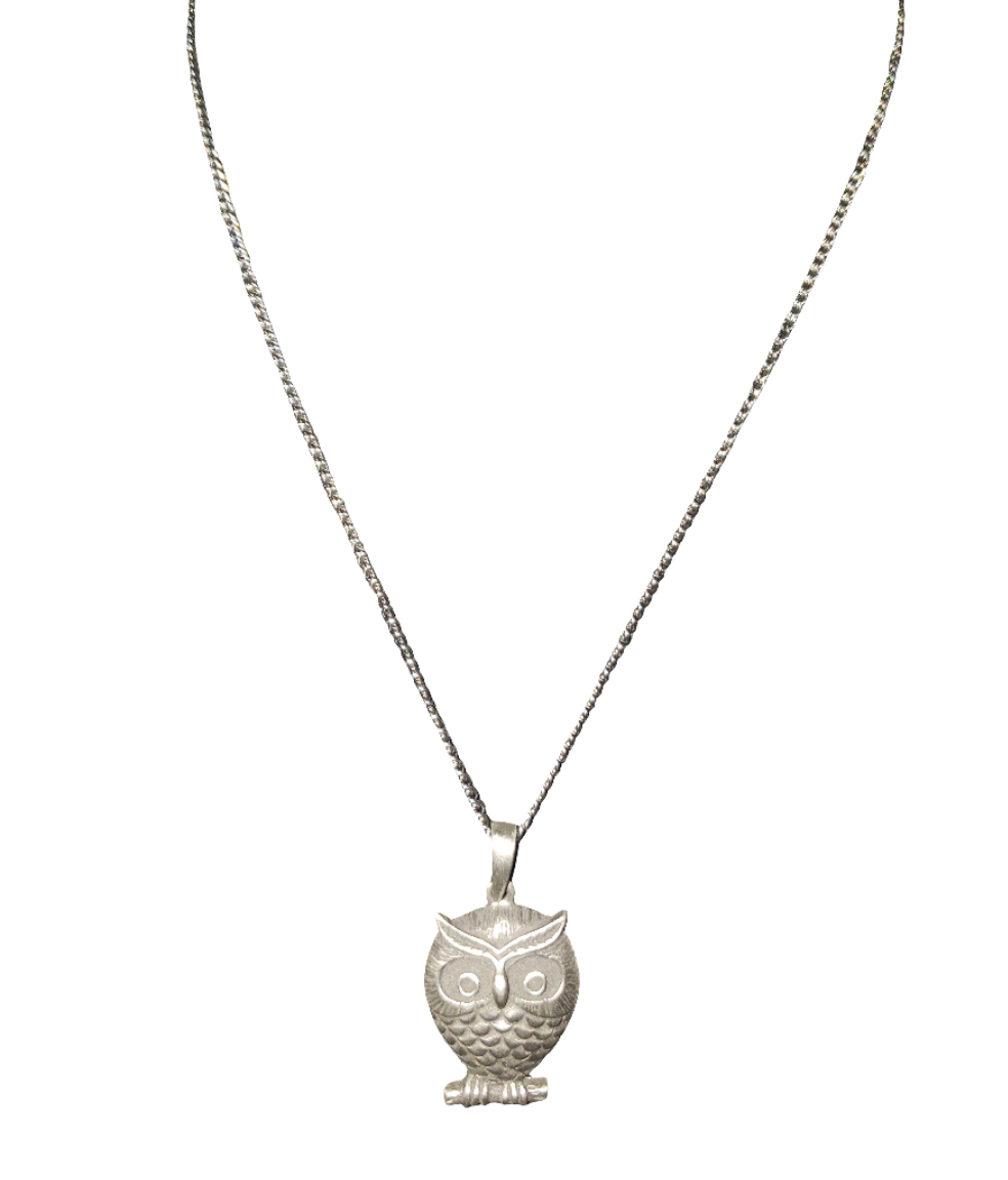 Stainless Steel Chain with Perched Owl Pendant