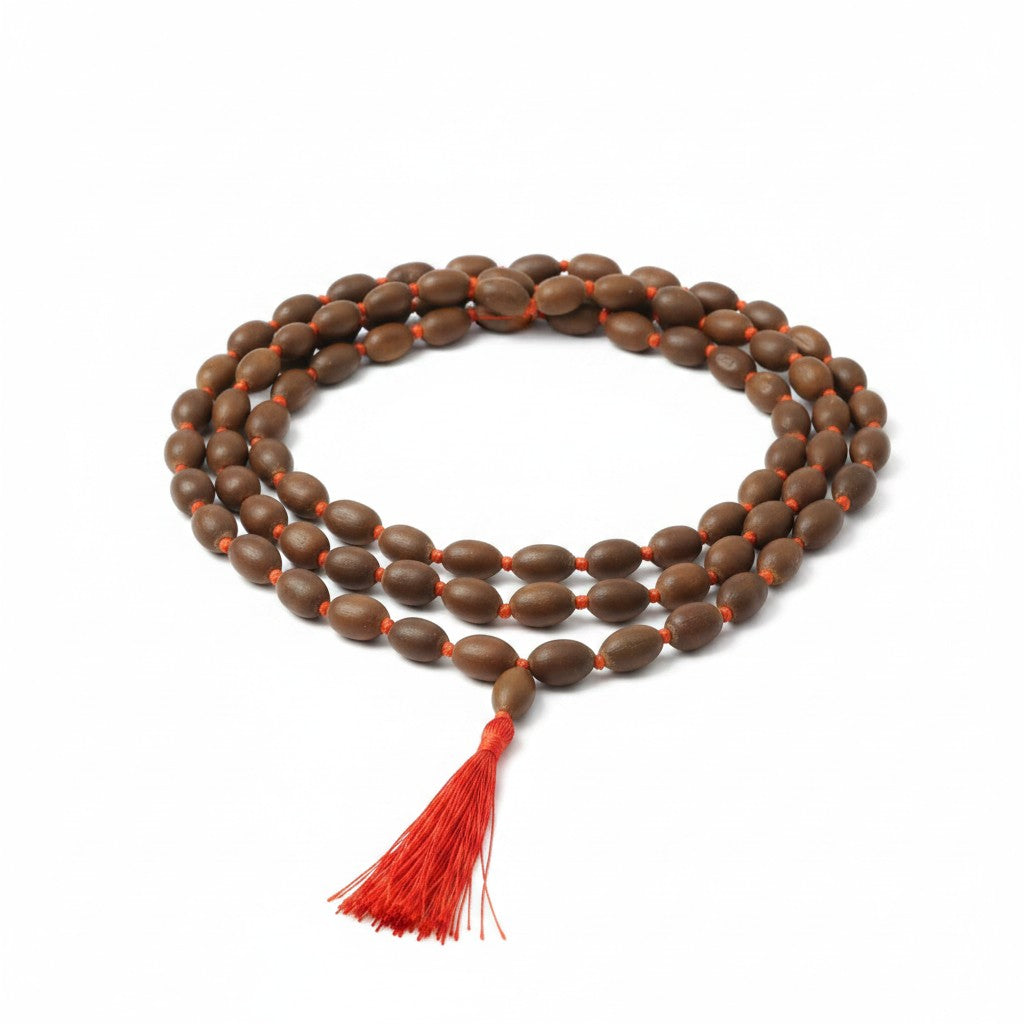 Sacred Lotus Seed Mala with Red Silk Tassel on a white background showing bead and tassel detail.