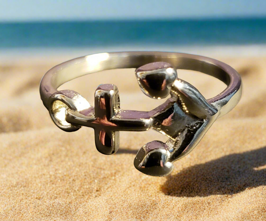 Stainless Steel Anchor Ring
