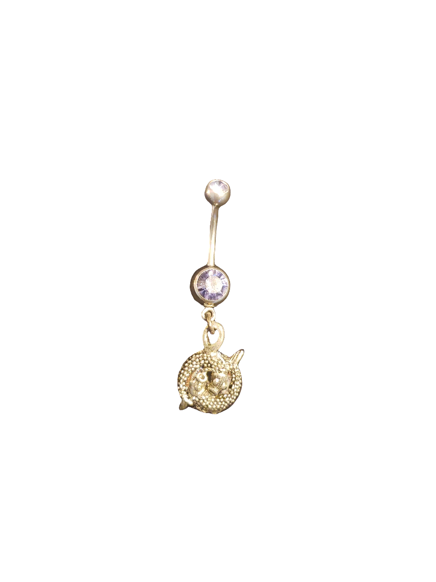 Belly Piercing Stainless Steel 316L with Dangling Pisces Charm