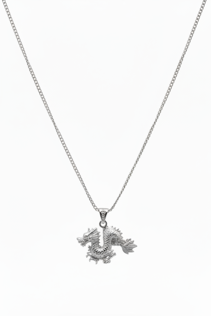 Dragon Steel Chain Necklace in 316l stainless steel.