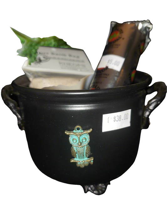 Metal Witches Cauldron with Owl