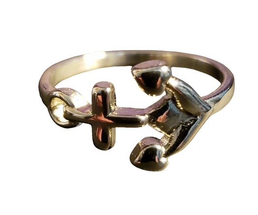 Stainless Steel Anchor Ring